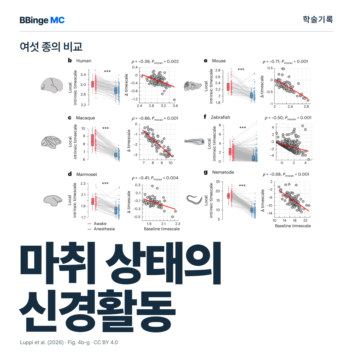 마취 상태의 신경활동 · 여섯 종의 비교. Luppi 등(2026)의 실제 Figure 4b–g를 사용한 학술기록 표지