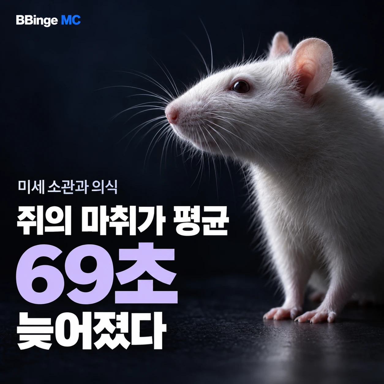 미세소관과 의식. 쥐의 마취가 평균 69초 늦어졌다. 흰 쥐를 배치한 편집 표지 · AI 생성 삽화