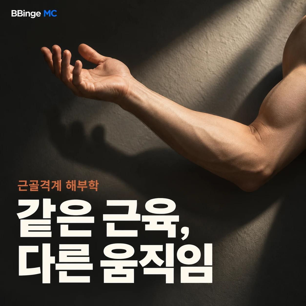 근골격계 해부학. 같은 근육, 다른 움직임. 굽힌 팔을 배치한 편집 표지 · AI 생성 삽화