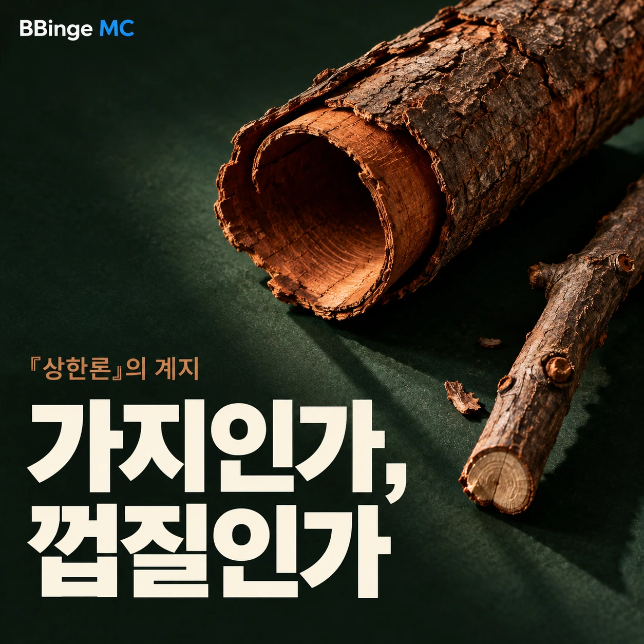 상한론의 계지. 가지인가, 껍질인가. 가지와 나무껍질을 배치한 편집 표지 · AI 생성 삽화