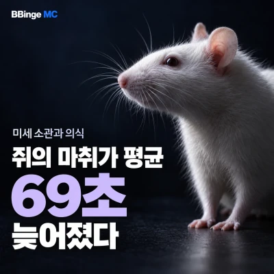 미세소관과 의식. 쥐의 마취가 평균 69초 늦어졌다. 흰 쥐를 배치한 편집 표지 · AI 생성 삽화