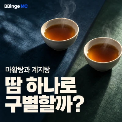 마황탕과 계지탕. 땀 하나로 구별할까? 두 찻그릇을 배치한 편집 표지 · AI 생성 삽화