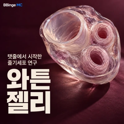탯줄에서 시작한 줄기세포 연구. 와튼젤리. 탯줄 단면을 본뜬 유리 조형물 표지 · AI 생성 삽화